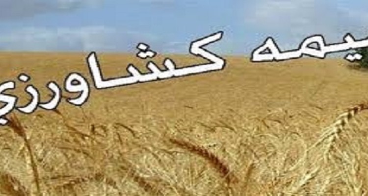 کشاورزان هرسینی درخصوص بیمه دامها و محصولات زراعی وباغی اقدام کنند