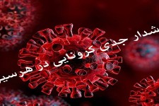 از شهروندان عاجزانه میخواهیم که پروتکل های بهداشتی را رعایت کنند
