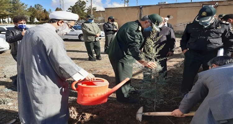 غرس نهال به مناسبت روز جهانی خاک در هرسین