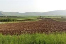 اجرای پروژه رفع تداخل اراضی زراعی در شهرستان هرسین