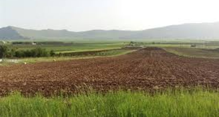 اجرای پروژه رفع تداخل اراضی زراعی در شهرستان هرسین