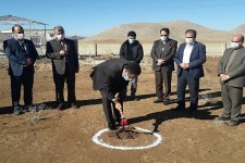  کلنگ زنی  ۳ طرح بزرگ سردخانه ای با اعتباری بالغ بر ۶۵۰ میلیارد ریال در  هرسین