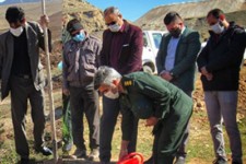 ۲۸۰۰ اصله نهال در شهرستان هرسین غرس شد