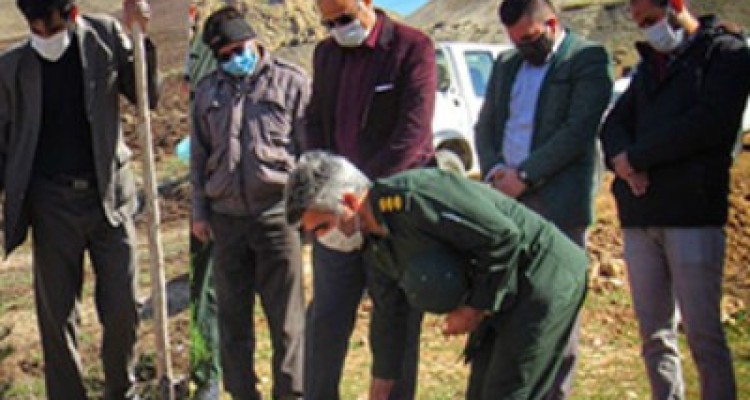 ۲۸۰۰ اصله نهال در شهرستان هرسین غرس شد