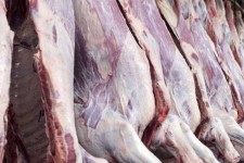 ضبط و امحاء 50کیلو گرم گوشت  و فرآورده خام دامی غیر مجاز در هرسین