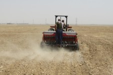 کشت دوم در شهرستان هرسین ممنوع شد