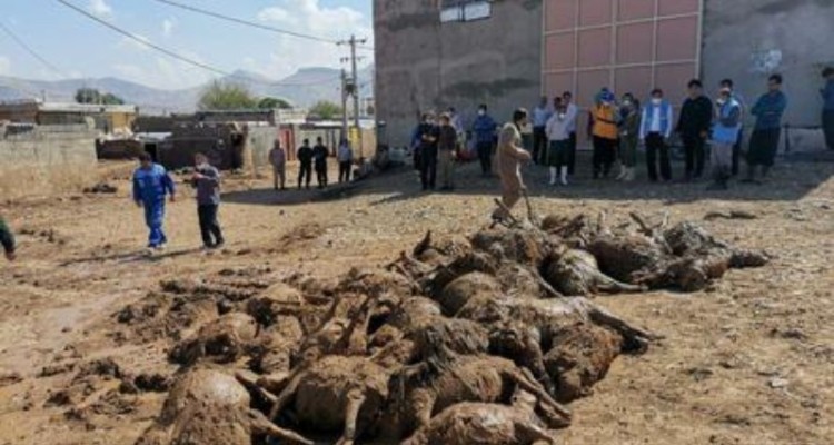 عدم تحقق وعده های دولت به سیل زدگان روستاهای هرسین/ بلاتکلیفی مردم سیل زده پس از گذشت 9ماه