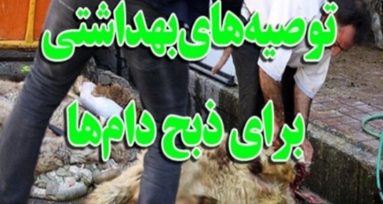 مردم دام های قربانی خود را در کشتارگاه های مجاز ذبح کنند