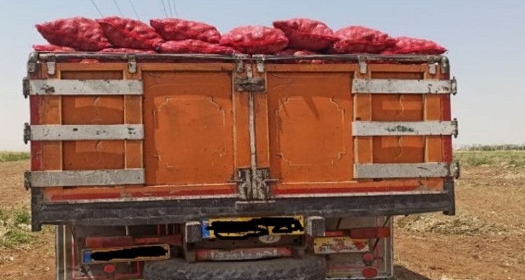 تضییع دسترنج پیازکاران هرسینی و جولان دلالان/ مشکل نبود سردخانه و انبارهای فنی کی مرتفع میشود