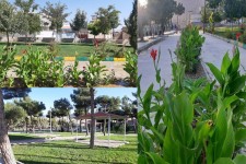 فاز اول پروژه پارک بانوان هرسین به بهره برداری رسید/ پیگیری جهت احداث مرکز خدماتی بانوان و نصب روشنایی معابر