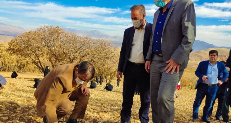 پویش مردمی احیای جنگل های زاگرس در هرسین برگزار شد