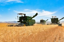 اجرای طرح جهش تولید در دیمزار های شهرستان هرسین