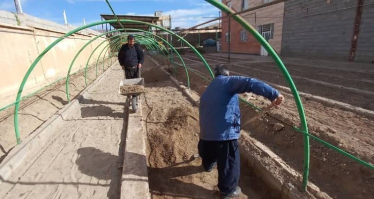 آماده سازی مرکز کاشت و پرورش گلهای فصلی توسط واحد فضای سبز شهرداری هرسین