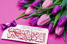 زینب جان به دنیا آمدنت برهان صبوری بود...