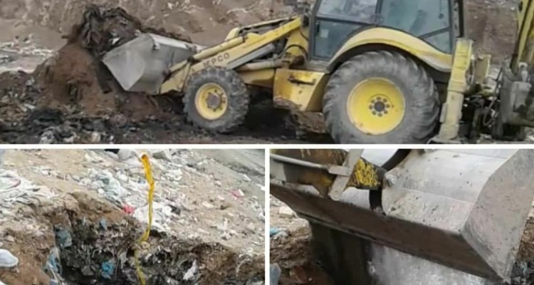 دفن بهداشتی لاشه های تلف شده دام در یکی از دامداری های شهرستان