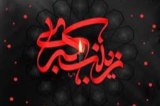 گواه ترین شاهد!!