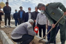 غرس ۱۰۰اصله نهال در یادمان شهدای گمنام شهرستان هرسین