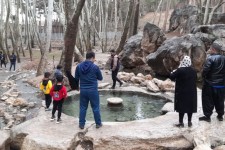 بازدید ۶۲ هزار و ۷۴۱  نفر از اماکن گردشگری هرسین و بخش بیستون/ اسکان 630نفر در اماکن اقامتی شهرستان