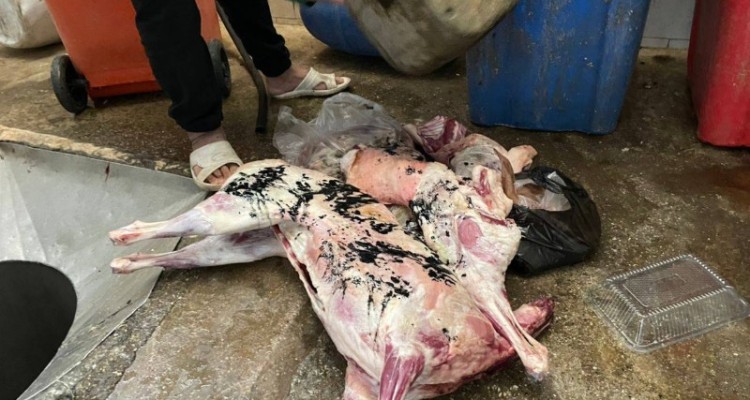 ضبط و امحا۵۳کیلو گوشت کشتار غیر مجاز در هرسین/ استمرار بازرسی ها تا ساماندهی نهایی