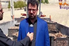 20هکتار از مزارع شهرستان هرسین زیر کشت زعفران رفته است/ کشاورزان عزیز کشت این محصول را به تعویق نیندازند