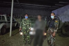 متخلف قطع درختان جنگلی در بیستون دستگیر شد