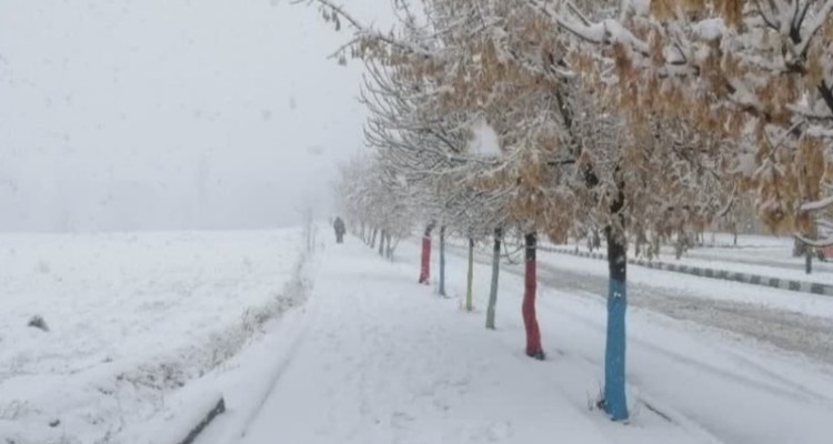 بارش 20میلیمتری برف در شهرستان هرسین/ مثبت شدن بارش ها نسیت به مدت مشابه سال قبل