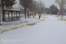 بارش برف هرسین را سفید پوش کرد