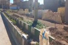 طرح عقب نشینی خیابان شورا قانونی است/ هیچ هزینه ای در این خصوص از مالکین دریافت نشده است