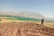 رفع تصرف و خلع ید ۲۶ هکتار ازعرصه های ملی در هرسین