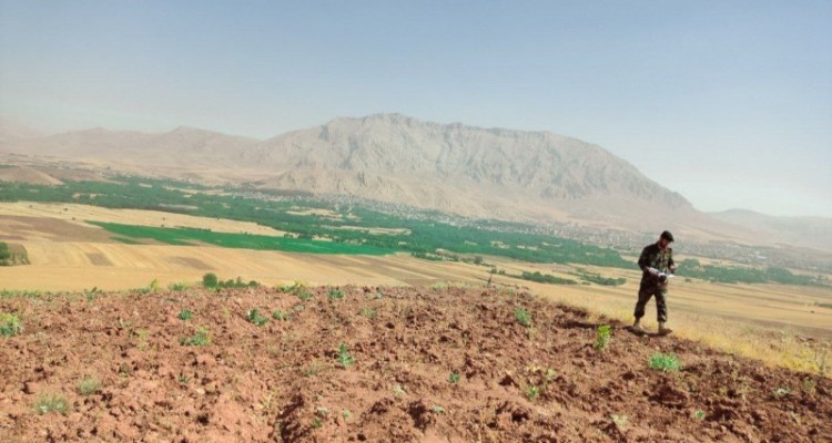 رفع تصرف و خلع ید ۲۶ هکتار ازعرصه های ملی در هرسین