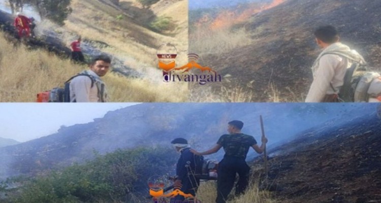 آتش سوزی در روستای میرمینگه بخش مرکزی هرسین مهار شد