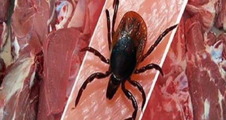 هشدار اداره دامپزشکی هرسین درباره شیوع بیماری تب کریمه کنگو