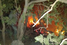 180هکتار از اراضی پناهگاه حیات وحش بیستون طعمه حریق شد