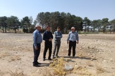 ایستگاه تولید بذر گیاهان مرتعی در بخش بیستون راه اندازی می‌شود