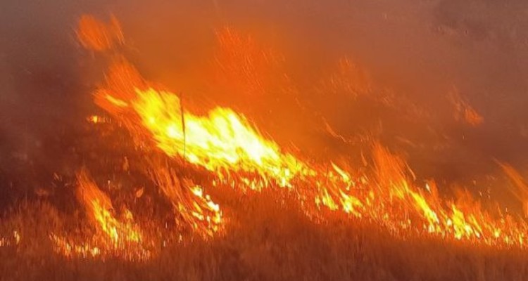 حریق مراتع روستای چنار با کمک مردم مهار شد+عکس و فیلم