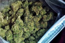 کشف 10 کیلوگرم ماده مخدر گل در هرسین