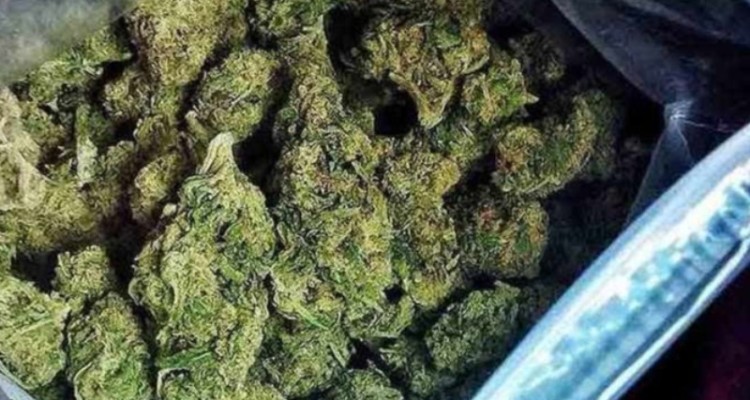 کشف 10 کیلوگرم ماده مخدر گل در هرسین