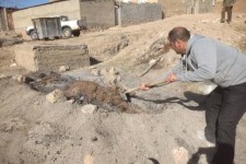 امحاء  یک کوره  زغال گیری در شهرستان هرسین