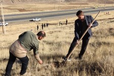 اجرای طرح تولید و کاشت نهال در هرسین+عکس و فیلم