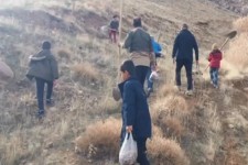 پویش کاشت بذر بلوط در اراضی جنگلی هرسین