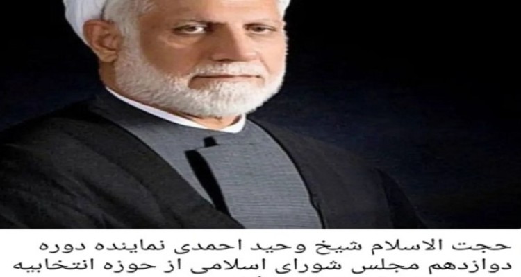 وحید احمدی با بیشترین آراء به مجلس راه یافت