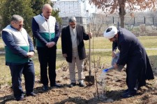 غرس 250اصله نهال در شهرستان هرسین