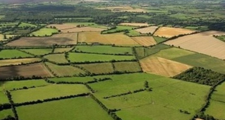 صدور ۵۶۰ هکتار اسناد تک برگ در شهرستان هرسین