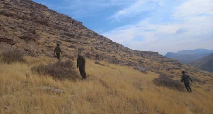 آثاری از قطع گسترده پوشش گیاهی در کوه زرین مشلعده نشد