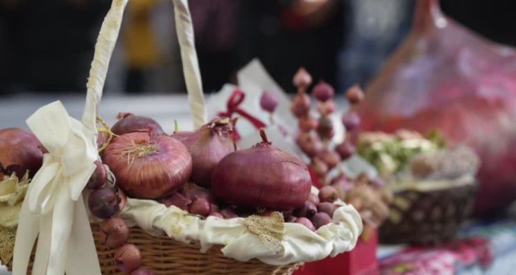 امید آفرینی و فرصت سازی از اهداف جشنواره پیاز و گردو در هرسین