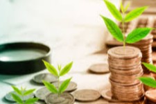 توزیع عادلانه ثروت ، درمان آسیب های اقتصادی