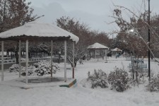 تصاویر زیبا از بارش برف در هرسین