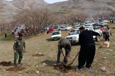 پویش سرو ایران در جنگل سراب بادیه هرسین