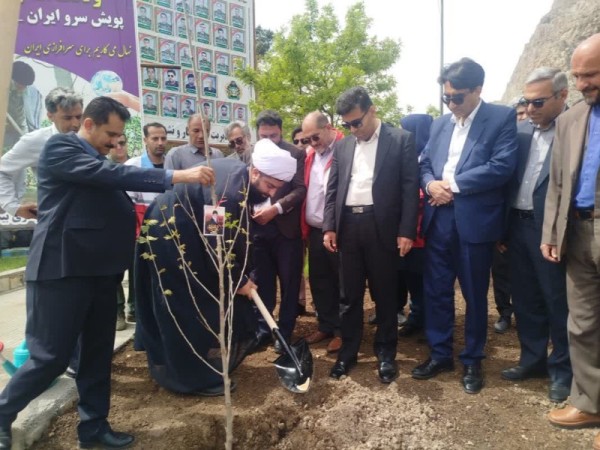 غرس ۳۰ اصله نهال در جوار امامزاده باقر(ع) بیستون+تصویر