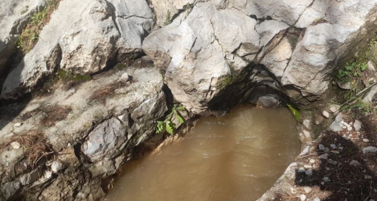 بارگلان طغیان کرد